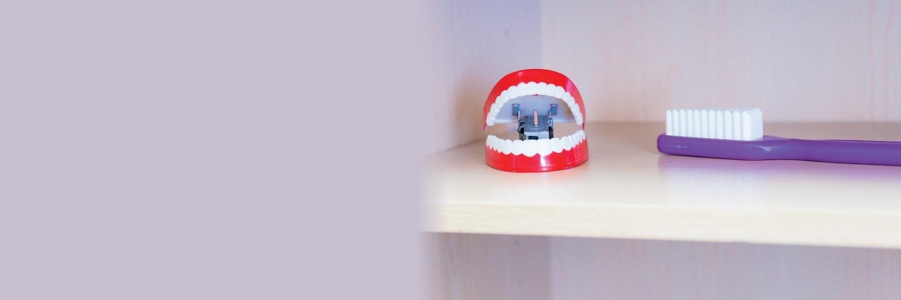 toy teeth and toothbrush 